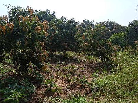 16 Bigha Agricultural/Farm Land for Sale in Bhinder, Udaipur