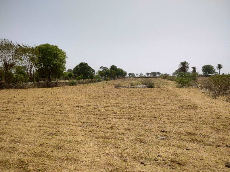 10 Bigha Agricultural/Farm Land for Sale in Vallabhnagar, Udaipur