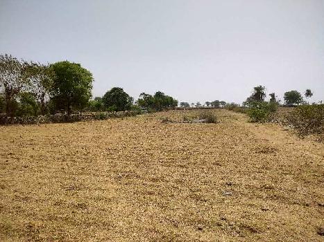 8 Bigha Agricultural/Farm Land for Sale in Chandesara, Udaipur