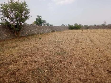 22 Sq.ft. Agricultural/Farm Land for Sale in Chandesara, Udaipur