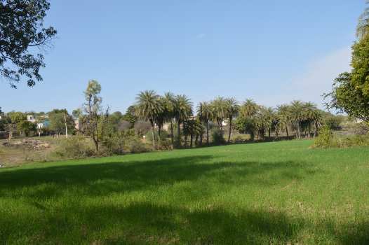 19 Sq.ft. Agricultural/Farm Land for Sale in Chandesara, Udaipur