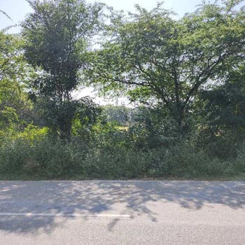 9385 Sq.ft. Commercial Lands /Inst. Land for Sale in Savina, Udaipur