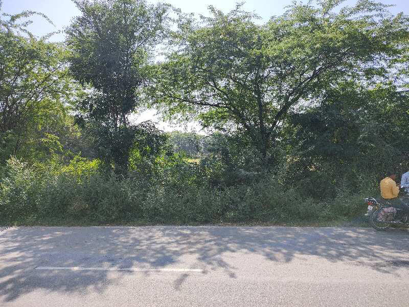 9385 Sq.ft. Commercial Lands /Inst. Land for Sale in Savina, Udaipur