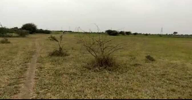 130 Bigha Agricultural/Farm Land for Sale in Bavla, Ahmedabad