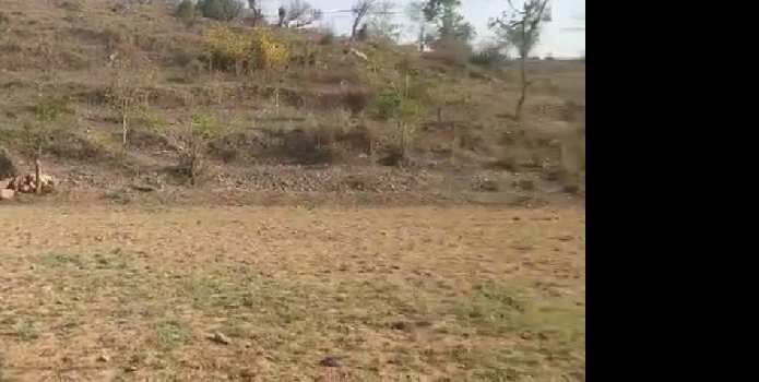 5 Bigha Agricultural/Farm Land for Sale in Girwa, Udaipur