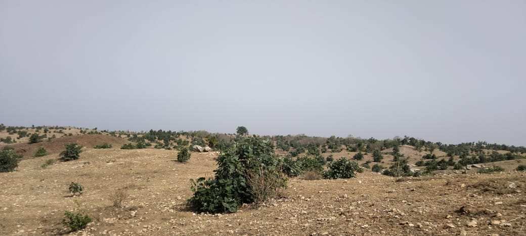 300 Bigha Agricultural/Farm Land for Sale in Bhinder, Udaipur