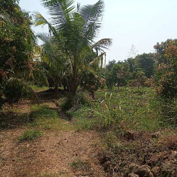 22000 Sq.ft. Agricultural/Farm Land for Sale in Girwa, Udaipur