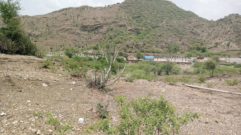 100000 Sq.ft. Residential Plot for Sale in Nathdwara, Rajsamand