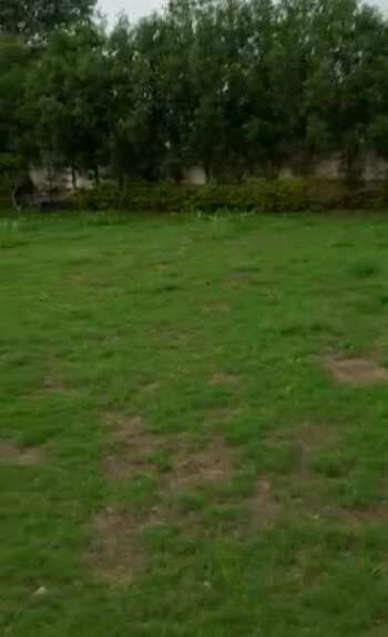 26900 Sq.ft. Agricultural/Farm Land for Sale in Bedla, Udaipur