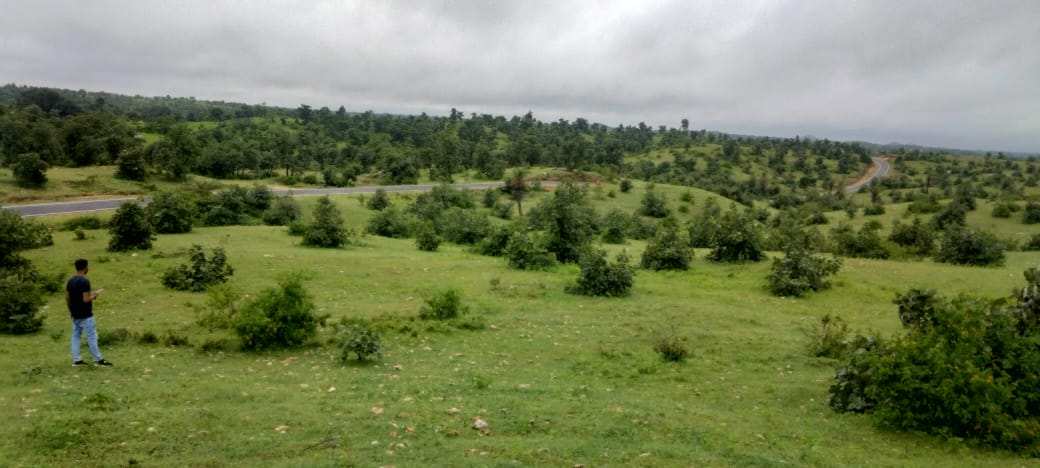150 Bigha Agricultural/Farm Land for Sale in Girwa, Udaipur