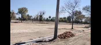 1250 Sq.ft. Residential Plot for Sale in Dabok, Udaipur