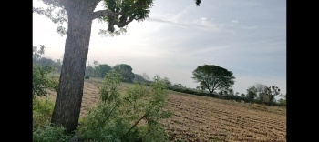 16 Bigha Agricultural/Farm Land for Sale in Dabok, Udaipur