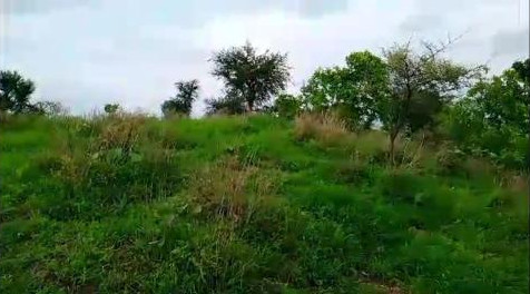 5 Bigha Agricultural/Farm Land for Sale in Jagdish Chowk, Udaipur