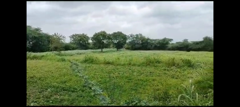 4 Bigha Agricultural/Farm Land for Sale in Dabok, Udaipur