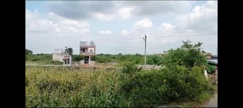11 Bigha Agricultural/Farm Land for Sale in Dabok, Udaipur
