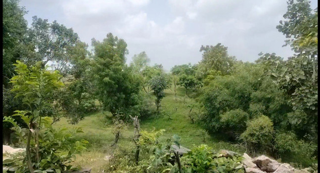 140 Bigha Agricultural/Farm Land for Sale in Udaipur