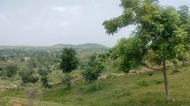 140 Bigha Agricultural/Farm Land for Sale in Udaipur