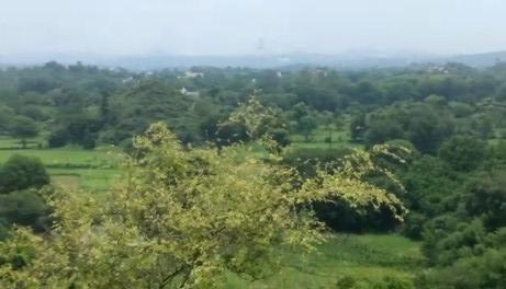 50 Bigha Agricultural/Farm Land for Sale in Nathdwara, Rajsamand