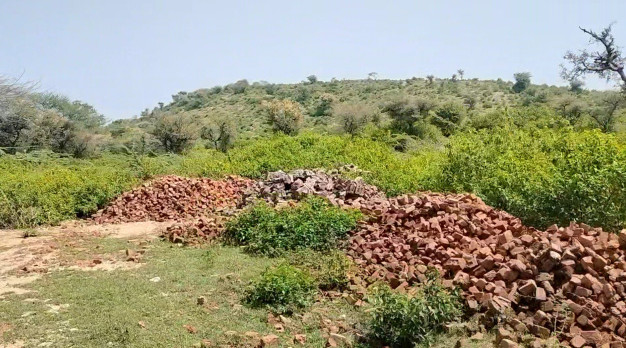 119 Bigha Agricultural/Farm Land for Sale in Dabok, Udaipur