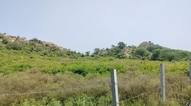 70 Bigha Agricultural/Farm Land for Sale in Nathdwara, Rajsamand