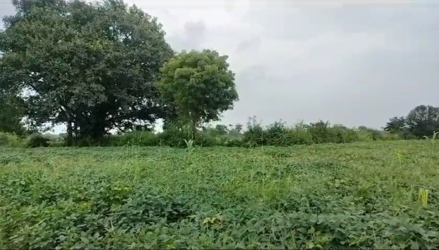 13 Bigha Agricultural/Farm Land for Sale in Bhatewar, Udaipur