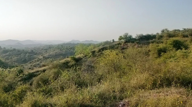 23 Bigha Agricultural/Farm Land for Sale in Girwa, Udaipur
