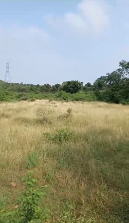 12 Bigha Residential Plot for Sale in Chirva Ghata, Udaipur