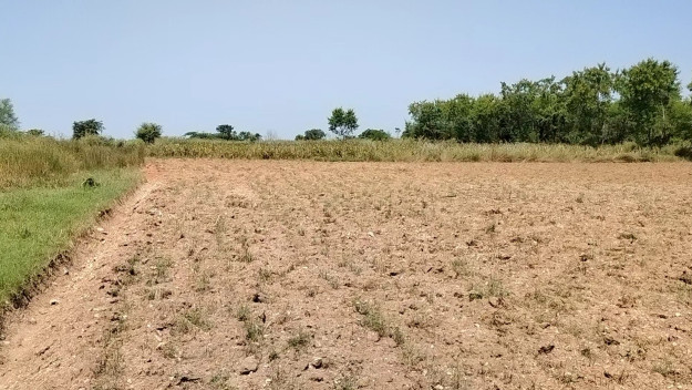 10 Bigha Agricultural/Farm Land for Sale in Dabok, Udaipur