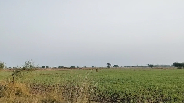 100 Bigha Industrial Land / Plot for Sale in Bhatewar, Udaipur