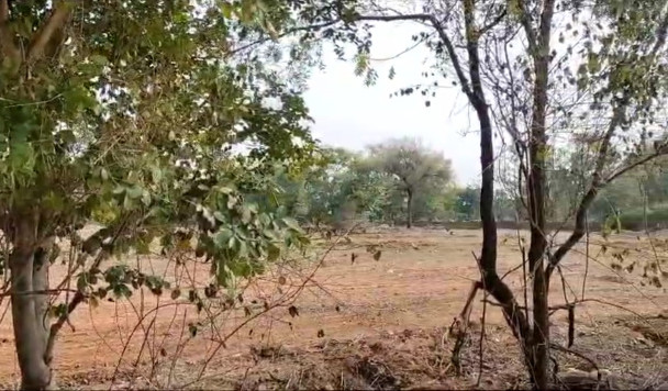 8 Bigha Agricultural/Farm Land for Sale in Dabok, Udaipur
