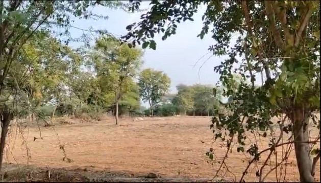 8 Bigha Agricultural/Farm Land for Sale in Dabok, Udaipur