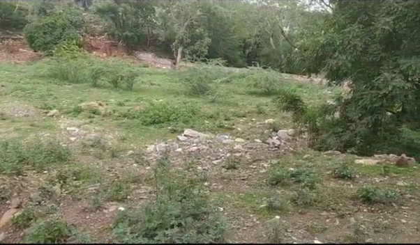 22600 Sq.ft. Residential Plot for Sale in Nathdwara Road, Udaipur