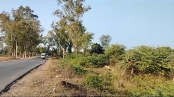50 Bigha Agricultural/Farm Land for Sale in Udaipur Road, Banswara