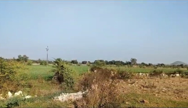 50 Bigha Agricultural/Farm Land for Sale in Udaipur Road, Banswara