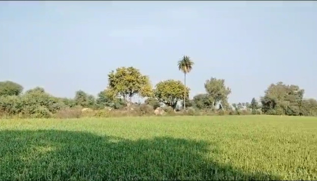 37 Bigha Agricultural/Farm Land for Sale in Udaipur Road, Banswara
