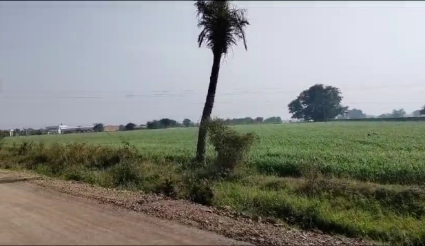 37 Bigha Agricultural/Farm Land for Sale in Udaipur Road, Banswara