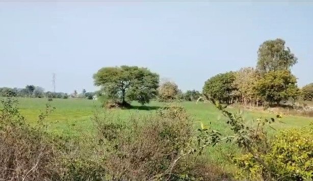 24 Bigha Agricultural/Farm Land for Sale in Udaipur Road, Banswara