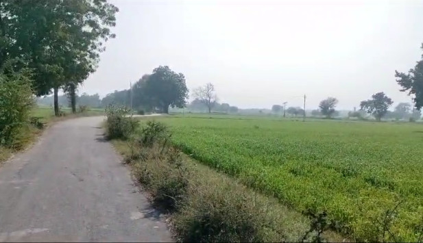 55 Bigha Agricultural/Farm Land for Sale in Lodha, Banswara