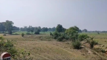 200 Bigha Agricultural/Farm Land for Sale in Udaipur Road, Banswara