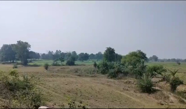 200 Bigha Agricultural/Farm Land for Sale in Udaipur Road, Banswara