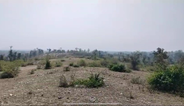 170 Bigha Agricultural/Farm Land for Sale in Sagwara, Dungarpur
