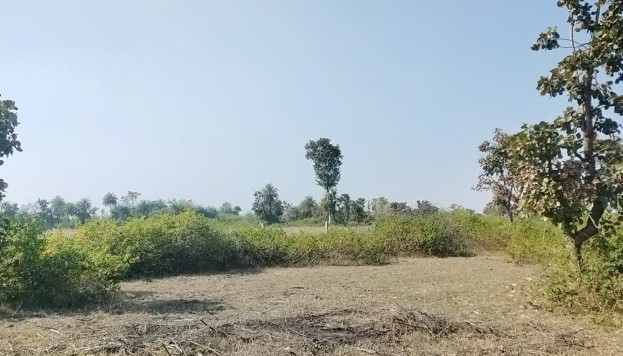 100 Bigha Agricultural/Farm Land for Sale in Bhopalsagar, Chittorgarh