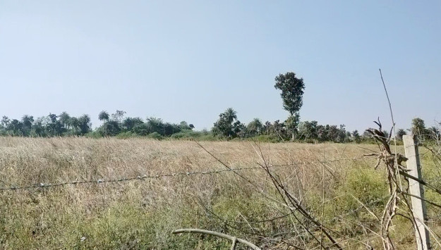 100 Bigha Agricultural/Farm Land for Sale in Bhopalsagar, Chittorgarh