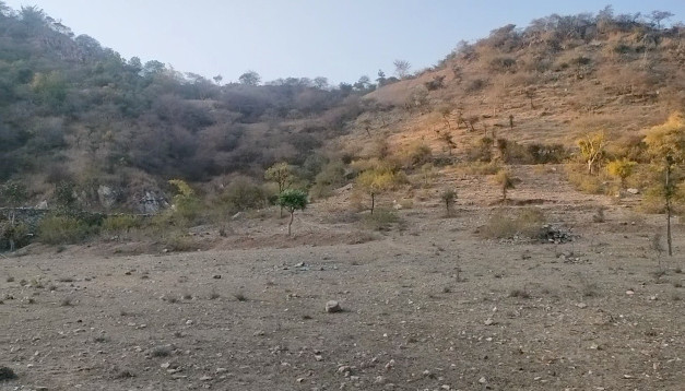 200000 Sq.ft. Residential Plot for Sale in Panchwati, Udaipur