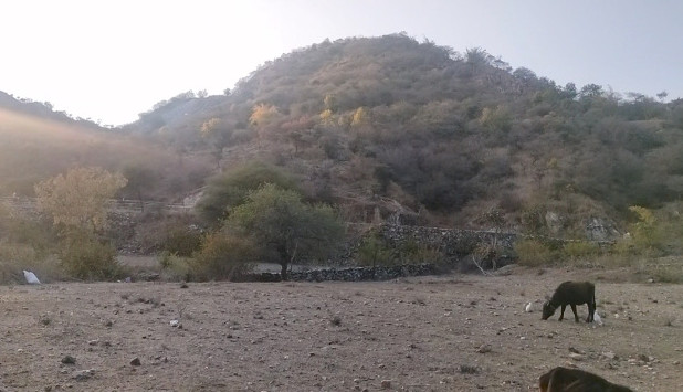 200000 Sq.ft. Residential Plot for Sale in Panchwati, Udaipur