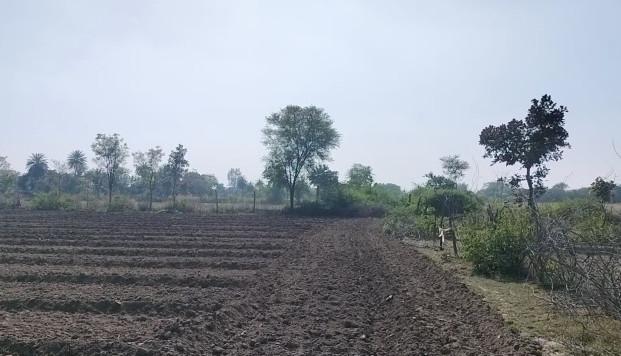 300 Bigha Agricultural/Farm Land for Sale in Sagwara, Dungarpur