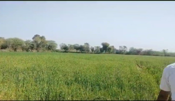 Property for sale in Dabok, Udaipur