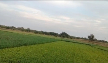 66 Bigha Agricultural/Farm Land for Sale in Mavli, Udaipur