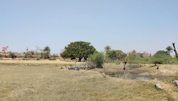 3 Bigha Agricultural/Farm Land for Sale in Dabok, Udaipur