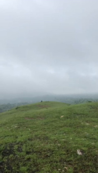 Property for sale in Jharol, Udaipur